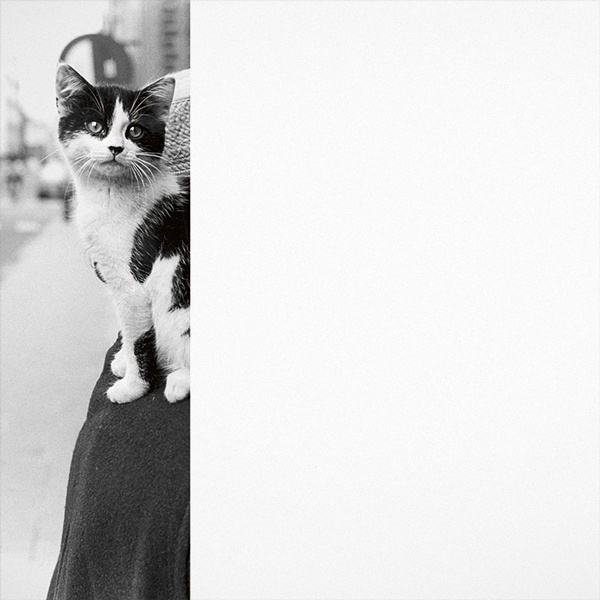 Baudouin Oosterlynck